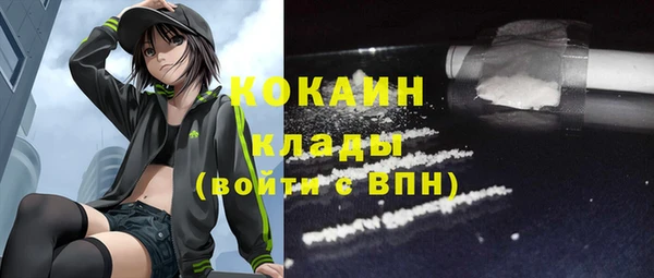 таблы Богородицк