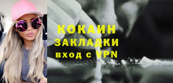 дмт Богданович