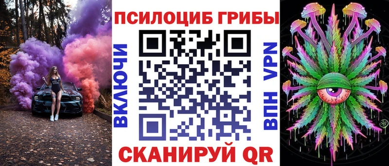Галлюциногенные грибы Magic Shrooms  Купить где  Сухой Лог 